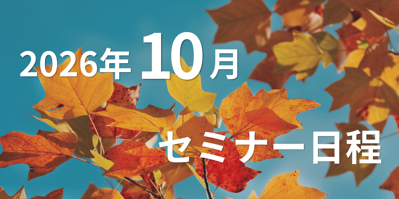 今月のセミナー・イベント